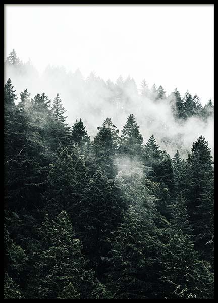 Pine Tree In The Fog Poster - Poster featuring a photography of a green ...