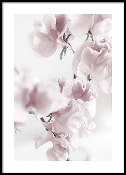 Summer Dream No1 Poster in the group Posters & Prints / Photography at Desenio AB (10405)