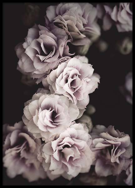 Bouquet De Fleurs Poster in the group Posters & Prints / Photography at Desenio AB (10433)