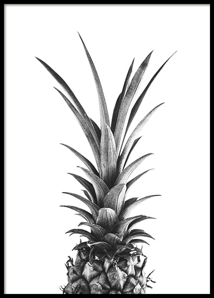 Pineapple B&W Poster in the group Posters & Prints / Black & white at Desenio AB (10658)