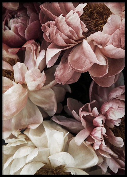 Flower Wall Poster in the group Posters & Prints / Photography at Desenio AB (10990)