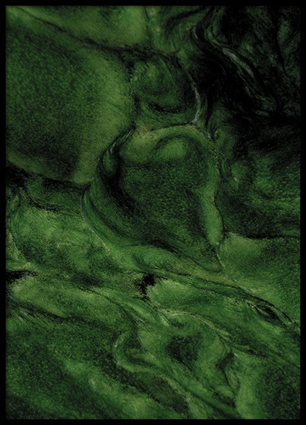 Algea Poster in the group Posters & Prints / Photography at Desenio AB (11001)