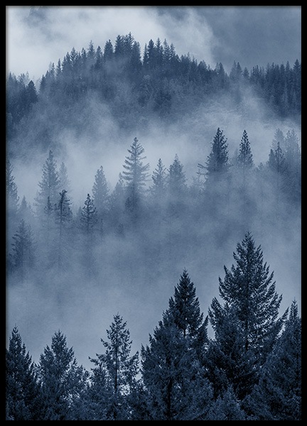 Blue Forest Poster Blue Forest Poster