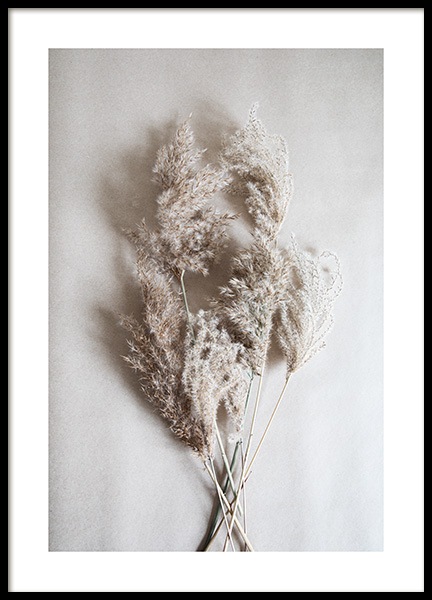 Bouquet of Autumn Reeds Poster in the group Posters & Prints / Photography at Desenio AB (11798)
