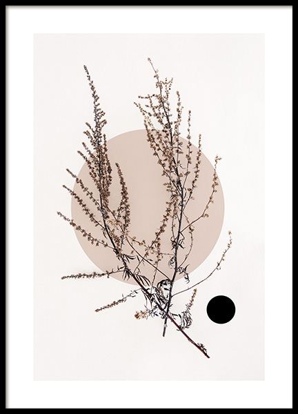 Dried Leaf No4 Poster in the group Posters & Prints / Botanical at Desenio AB (11805)
