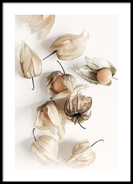 Golden Berries Poster in the group Posters & Prints / Kitchen at Desenio AB (12993)