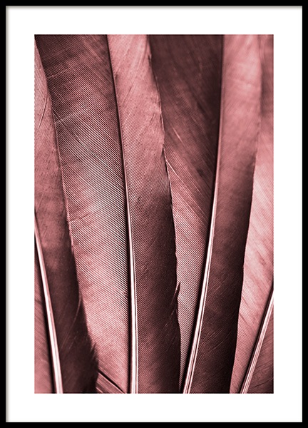 Burgundy Feathers Poster