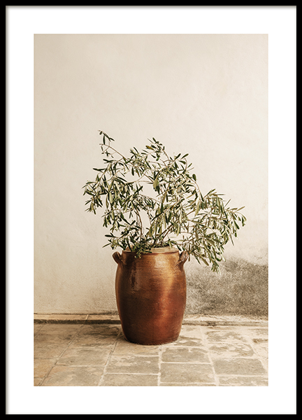Rustic Olive Branch Poster