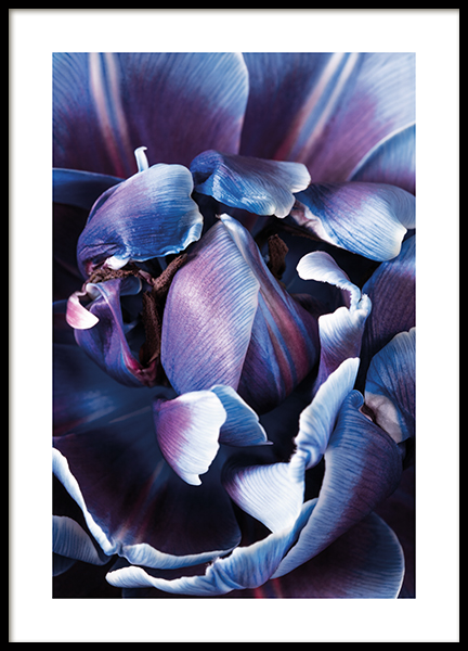 Holographic Bloom No1 Poster