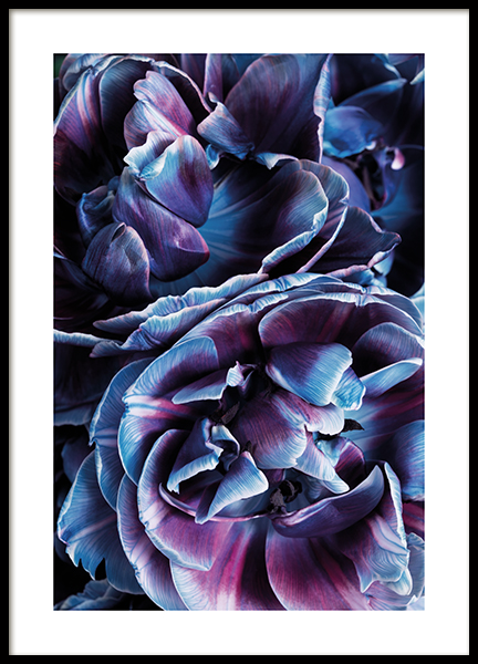 Holographic Bloom No2 Poster