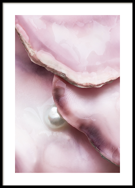 Pink Oyster No1 Poster
