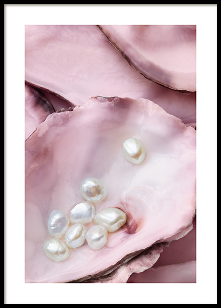Pink Oyster No2 Poster