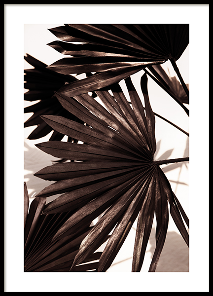 Black Palm Poster