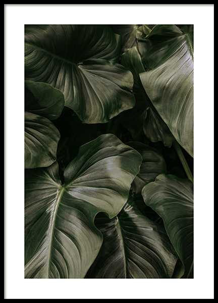 Deep Green Leaves Poster