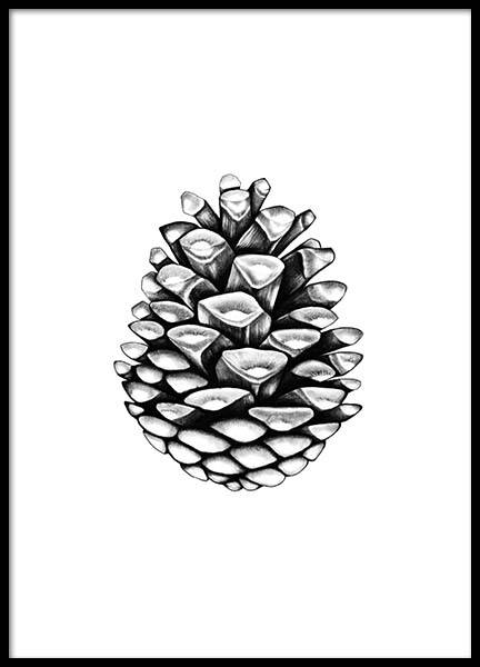 Pinecone Poster in the group Posters & Prints / Black & white at Desenio AB (2274)