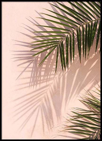 Pink Palm Poster in the group Posters & Prints / Photography at Desenio AB (2405)