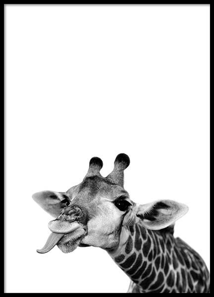 Giraffe Portrait Poster