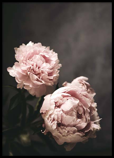 There's Beauty Poster in the group Posters & Prints / Photography at Desenio AB (2788)