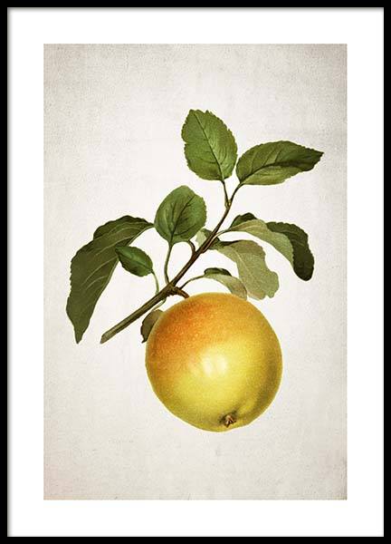 Apple Poster in the group Posters & Prints / Kitchen at Desenio AB (3511)