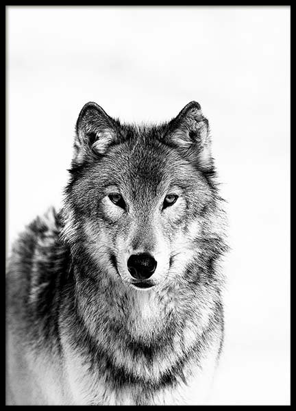 Wolf B&W Poster