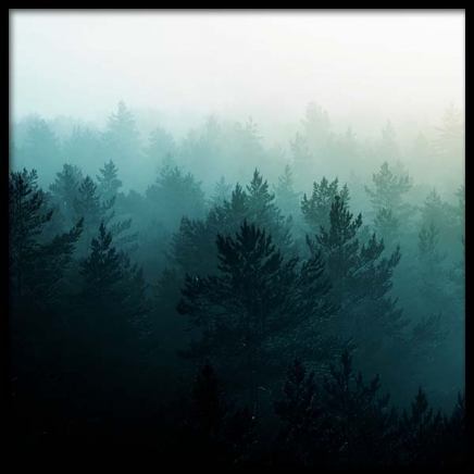 View Of Misty Forest Poster in the group Posters & Prints / Nature at Desenio AB (3567)