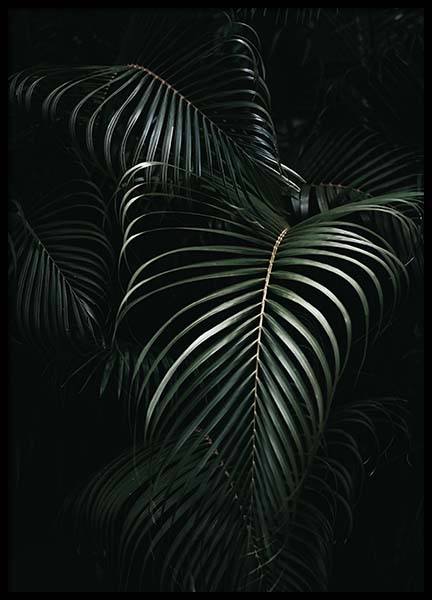 Dark Green Palm Leaves No1 Poster in the group Posters & Prints / Photography at Desenio AB (3772)