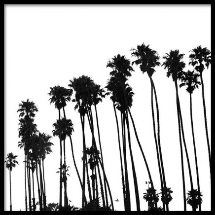 Venice Beach Palm Trees No1 Poster in the group Posters & Prints / Black & white at Desenio AB (3776)
