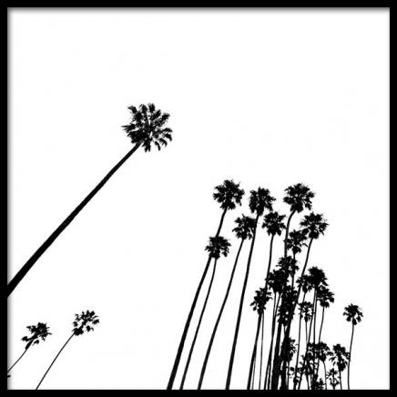 Venice Beach Palm Trees No2 Poster in the group Posters & Prints / Black & white at Desenio AB (3777)