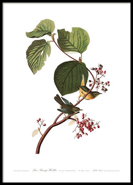 Botanical poster with a branch and birds