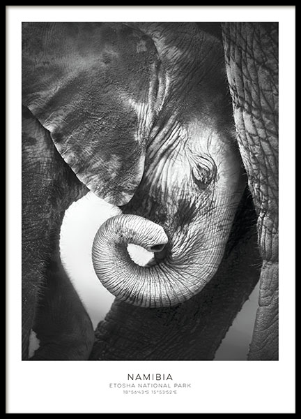 Elephant, Poster 