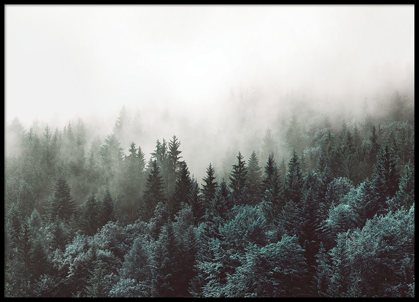 Prints with nature photos for the living room