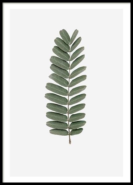 Tamarind Leaf Poster