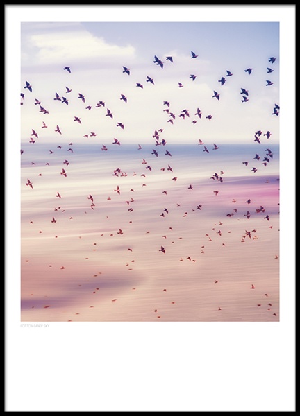 Cotton Candy Sky, Poster in the group Posters & Prints / Nature at Desenio AB (8397)