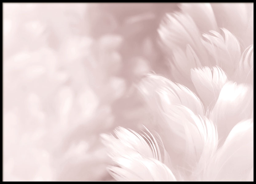 Fluffy Pink Feathers, Poster