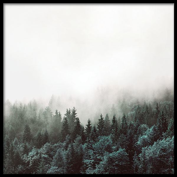 Tree Tops, Posters in the group Posters & Prints / Nature at Desenio AB (8587)