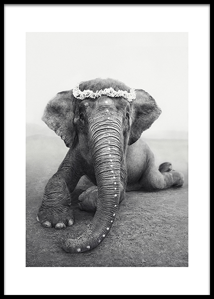 Love Warriors Sweetest Adele Poster in the group Posters & Prints at Desenio AB (Pre5619)