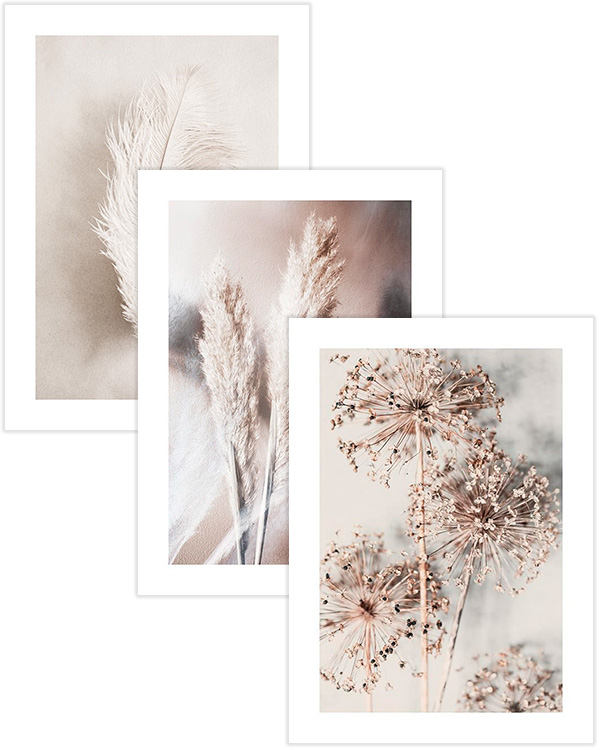 – Botanical photographs in beige for a tranquil feeling