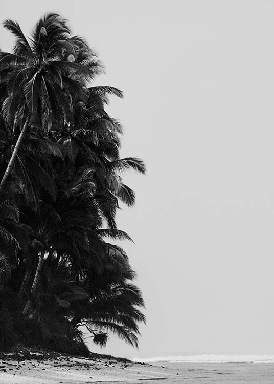 Palm Trees By Sea Poster / Black & white at Desenio AB (10235)