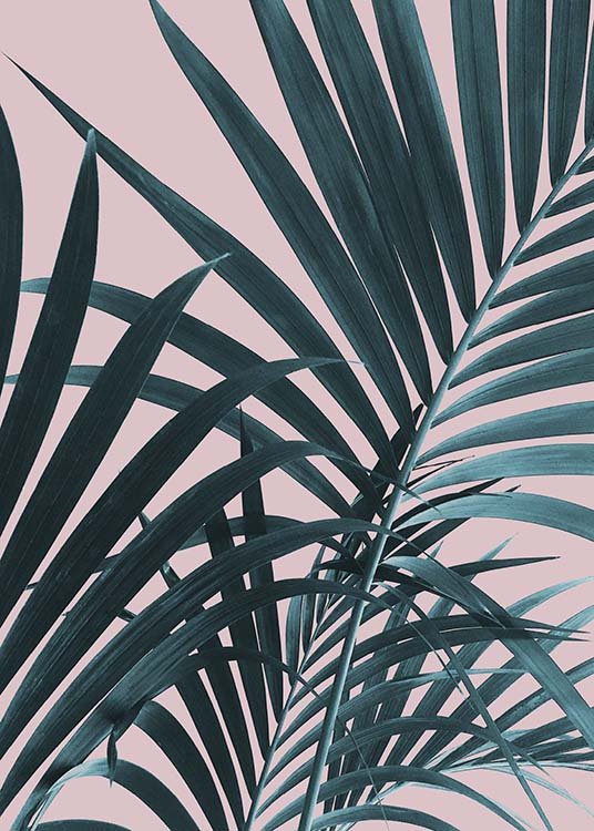 Pastel Palm No1 Poster / Photography at Desenio AB (10388)