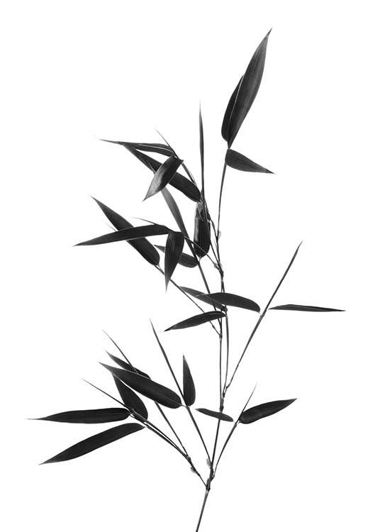 Bamboo Twig Poster / Black & white at Desenio AB (10390)