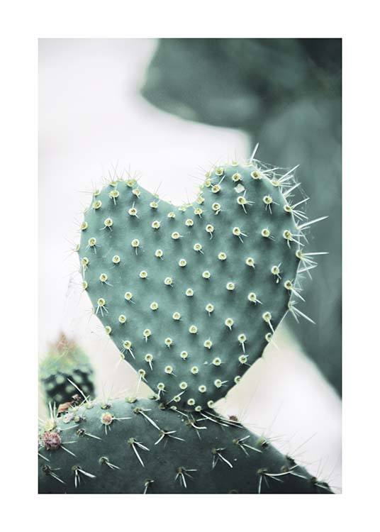 Heart Cactus Poster / Photography at Desenio AB (10431)
