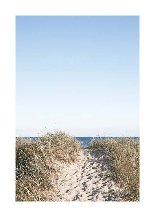 Path on beach Poster / Nature at Desenio AB (10477)