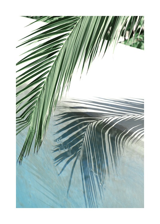 Poolside Palm Reflection Poster / Photography at Desenio AB (10666)