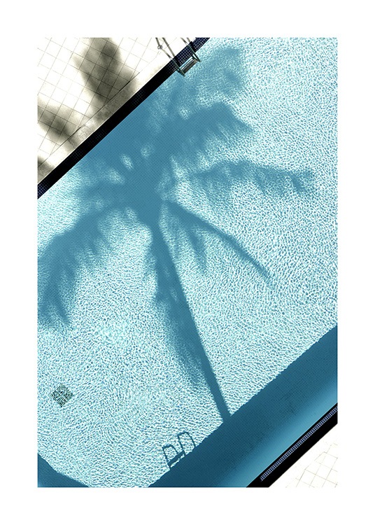 Pool and Palm Tree Poster / Photography at Desenio AB (10668)