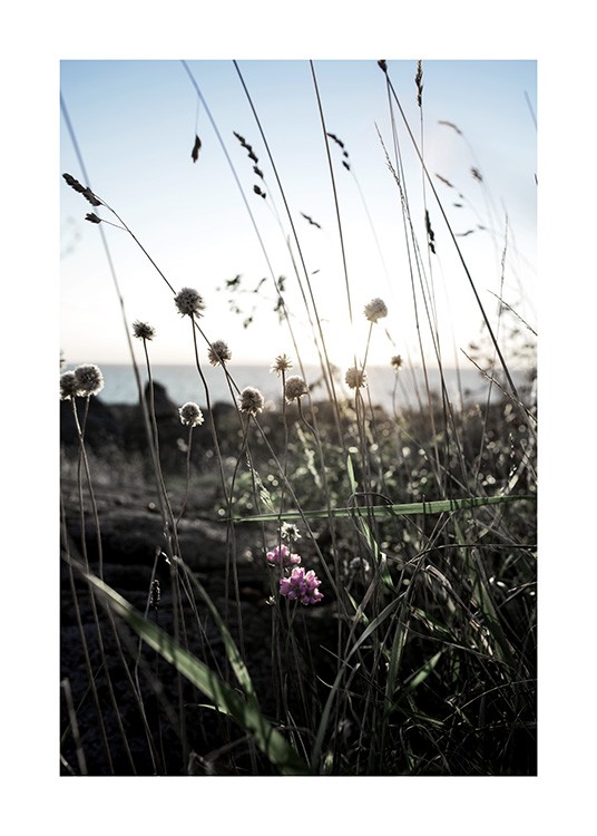 Wildflowers Poster / Nature at Desenio AB (10708)