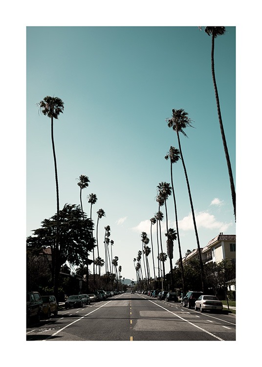 Street of Los Angeles Poster / 19 ⅝ x 27 ½ in | 50x70 cm at Desenio AB (10785)