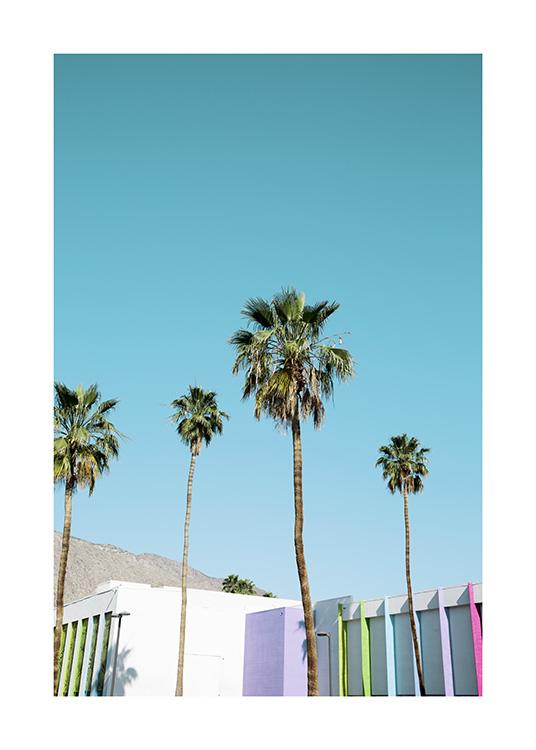 Rainbow Palms Poster / Tropical at Desenio AB (10789)