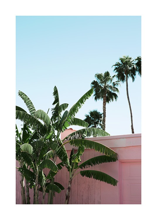 Pink Banana Leaves Poster / Green plants at Desenio AB (10791)