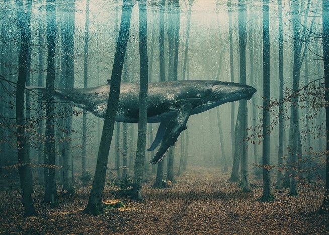  – Art print with a whale in a forest, swimming between trees