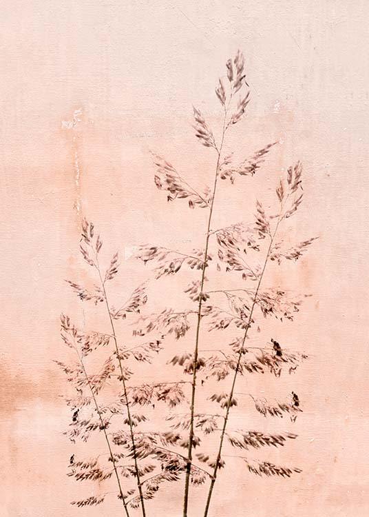 –Poster of dried flowers on a pink background. 